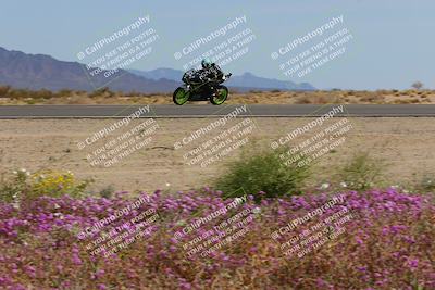 media/Mar-12-2023-SoCal Trackdays (Sun) [[d4c8249724]]/Turn 15 Inside Bloom (130pm)/